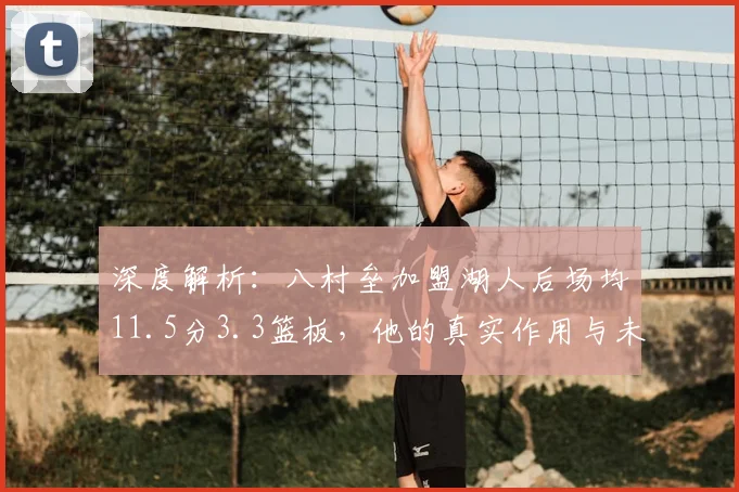 深度解析：八村垒加盟湖人后场均11.5分3.3篮板，他的真实作用与未来前景